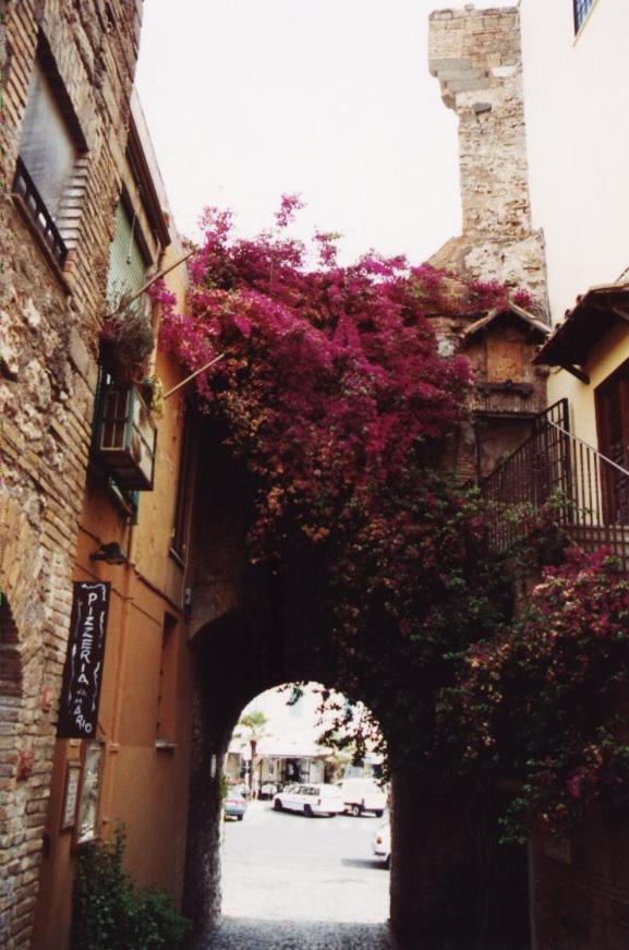 La Casa Degli Artisti 1 Hotell Nettuno Exteriör bild